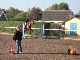 img_0108_web